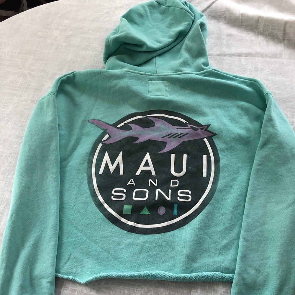 American Eagle cropped hoodie